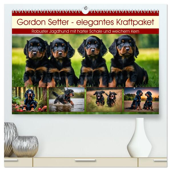 Gordon Setter - elegantes Kraftpaket (hochwertiger Premium Wandkalender 2026 DIN A2 quer) Kunstdruck in Hochglanz