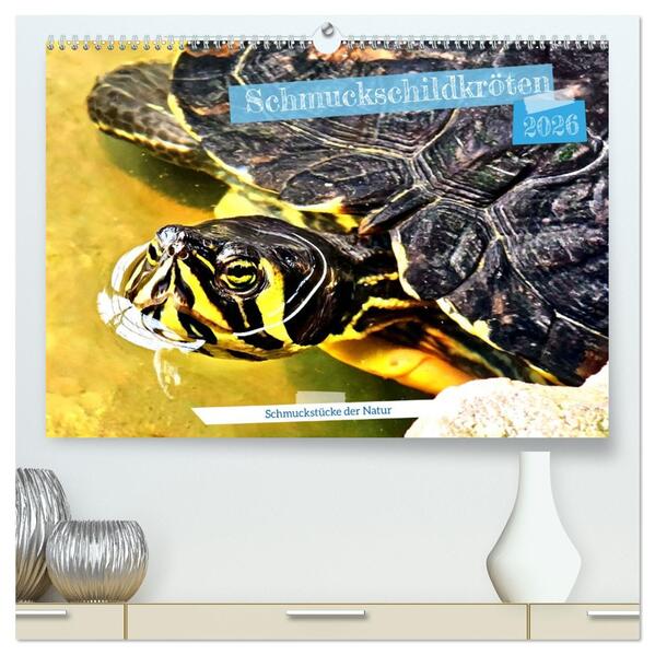 Schmuckschildkröten - Schmuckstücke der Natur (hochwertiger Premium Wandkalender 2026 DIN A2 quer) Kunstdruck in Hochglanz