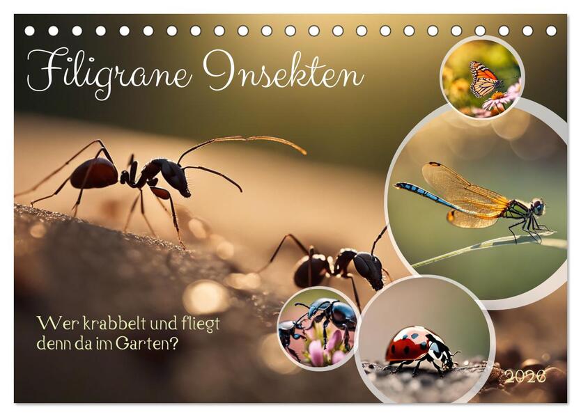 Filigrane Insekten (Tischkalender 2026 DIN A5 quer) CALVENDO Monatskalender