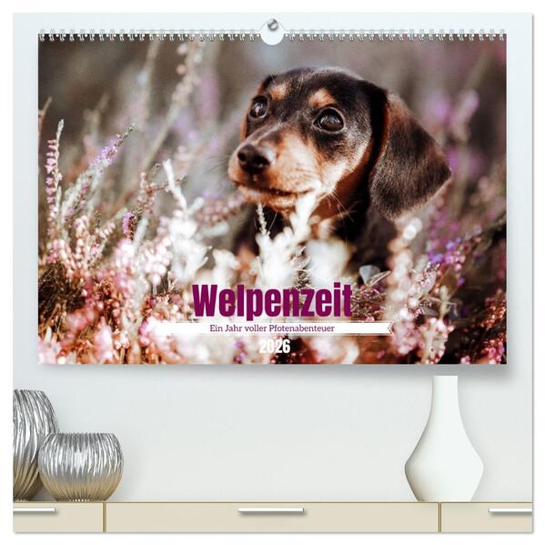 Welpenzeit - Ein Jahr voller spannender Pfotenabenteuer (hochwertiger Premium Wandkalender 2026 DIN A2 quer) Kunstdruck in Hochglanz