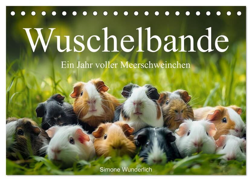 Wuschelbande - Ein Jahr voller Meerschweinchen (Tischkalender 2026 DIN A5 quer) CALVENDO Monatskalender