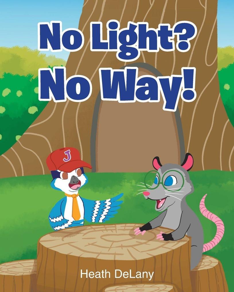 No Light? No Way!