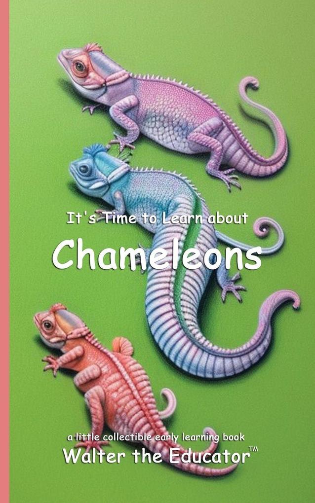 It's Time to Learn about Chameleons