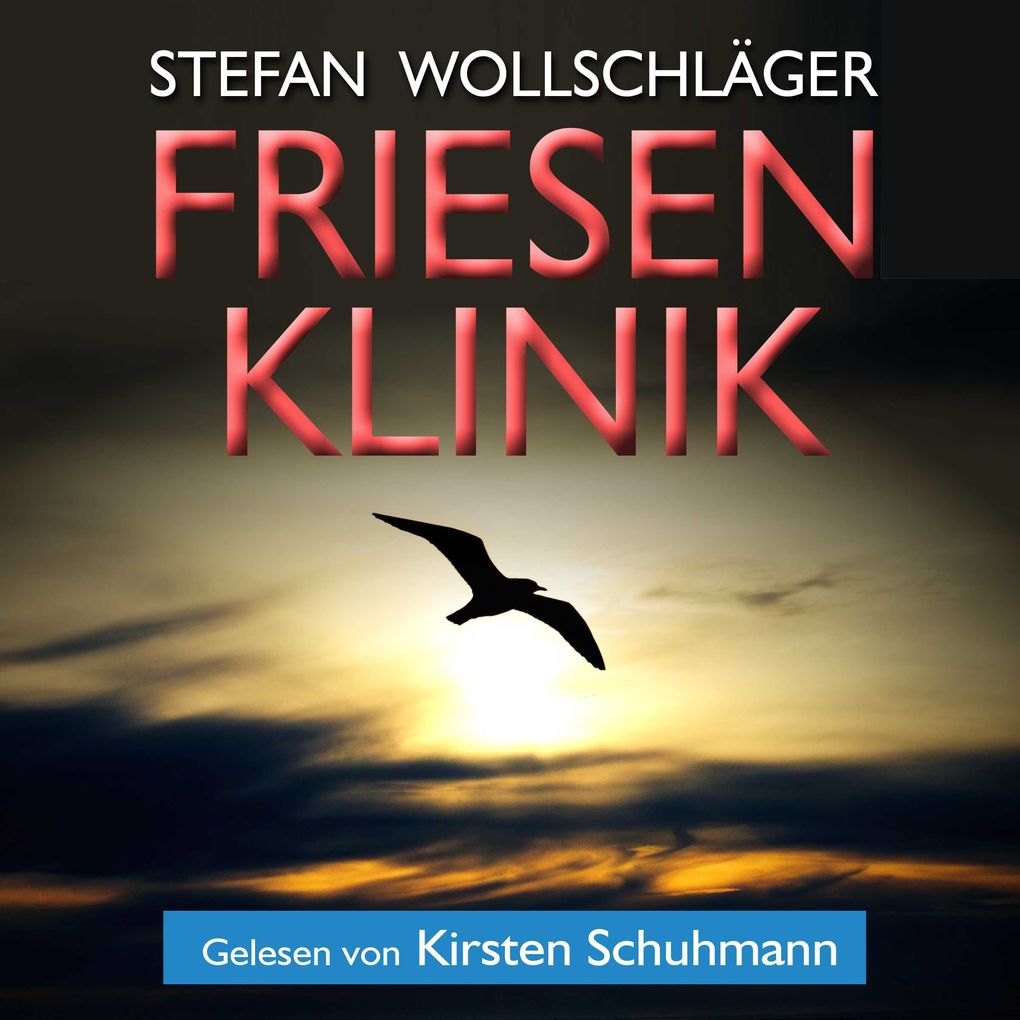 Friesenklinik: Ostfriesen-Krimi