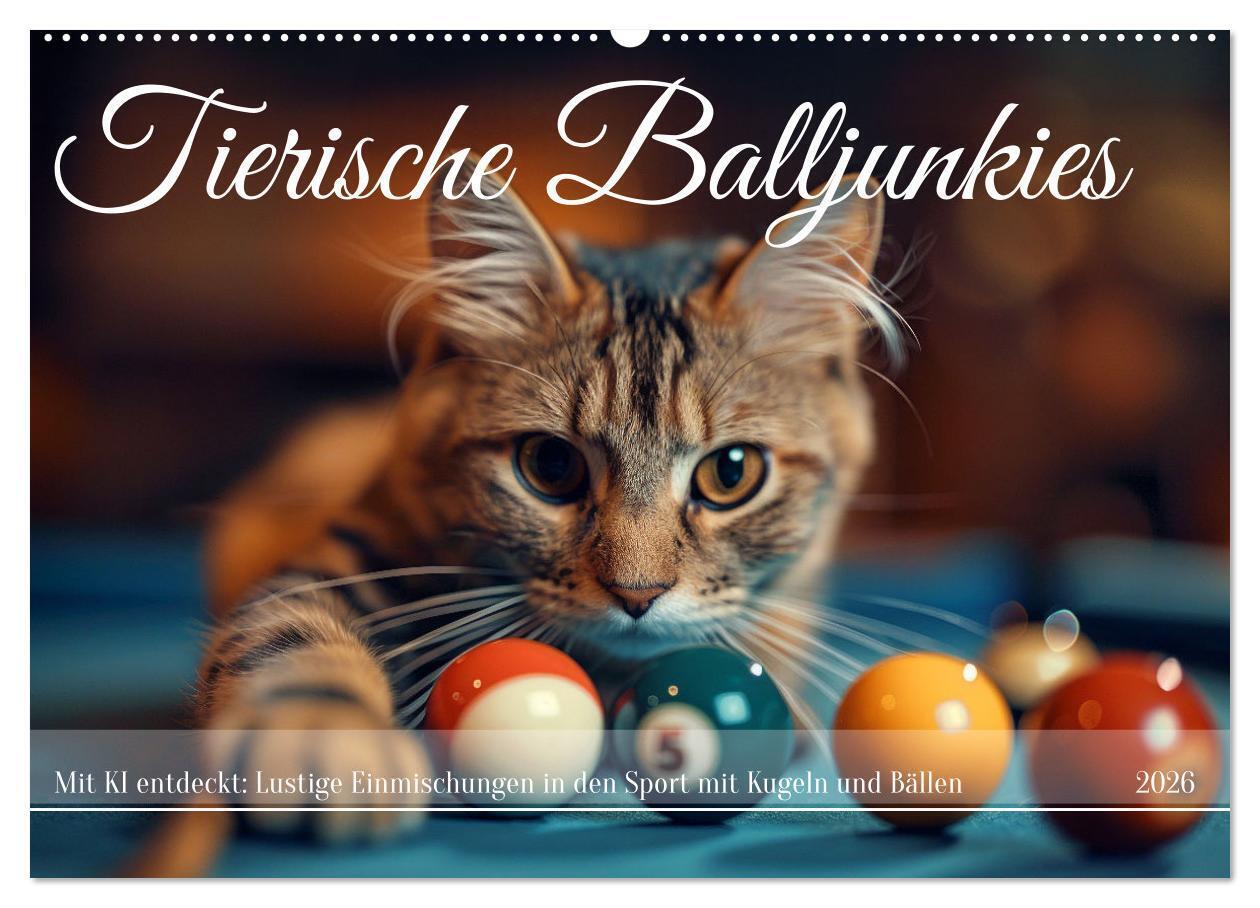 Tierische Balljunkies (Wandkalender 2026 DIN A2 quer) CALVENDO Monatskalender