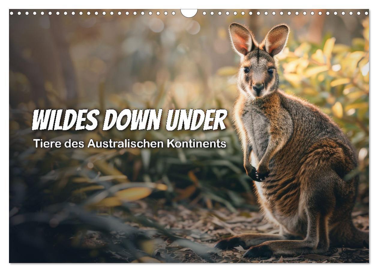 Wildes Down Under: Tiere des Australischen Kontinents (Wandkalender 2026 DIN A3 quer) CALVENDO Monatskalender
