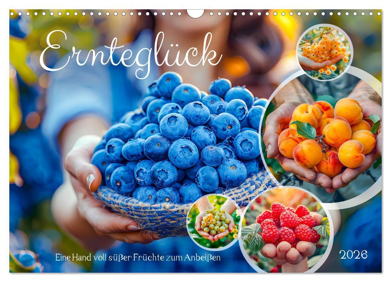 Ernteglück - Eine handvoll süßer Früchte zum Anbeißen (Wandkalender 2026 DIN A3 quer) CALVENDO Monatskalender