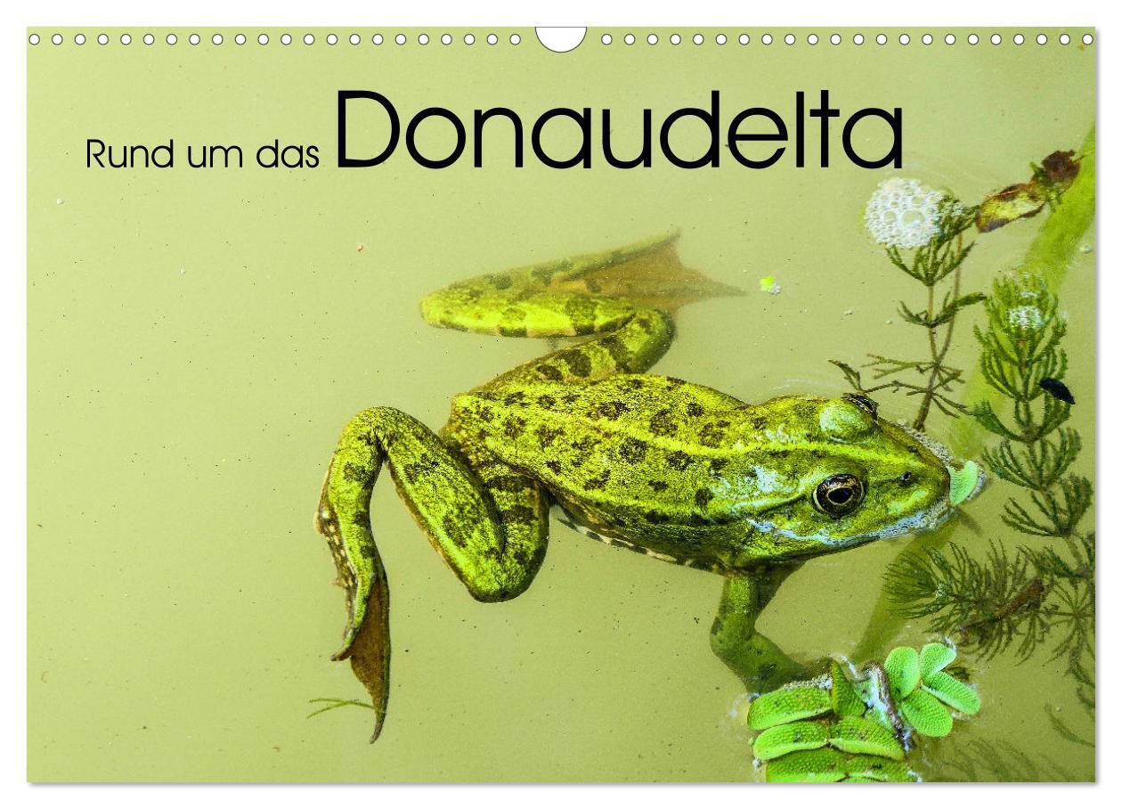 Rund um das Donaudelta (Wandkalender 2026 DIN A3 quer) CALVENDO Monatskalender