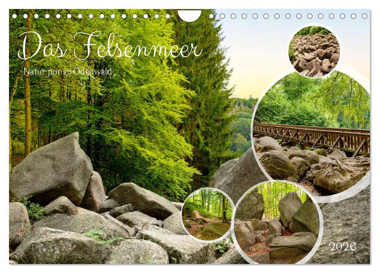 Das Felsenmeer - Natur pur im Odenwald (Wandkalender 2026 DIN A4 quer) CALVENDO Monatskalender