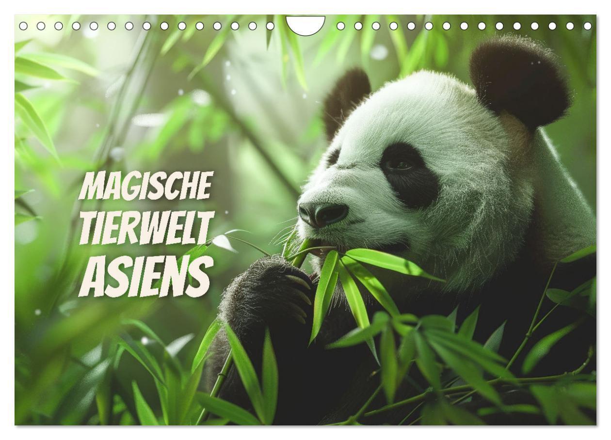 Magische Tierwelt Asiens (Wandkalender 2026 DIN A4 quer) CALVENDO Monatskalender