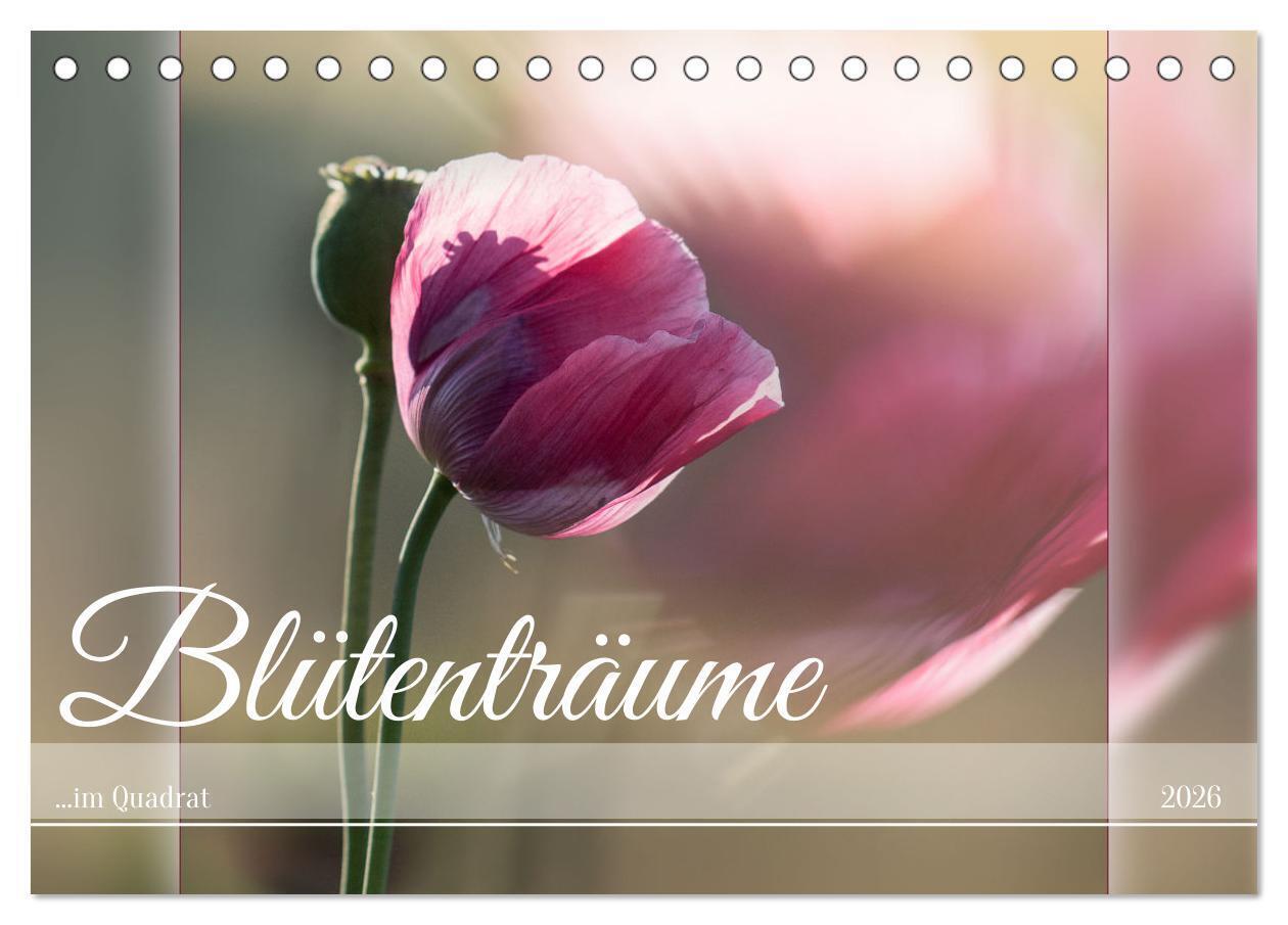 Blütenträume - im Quadrat (Tischkalender 2026 DIN A5 quer) CALVENDO Monatskalender