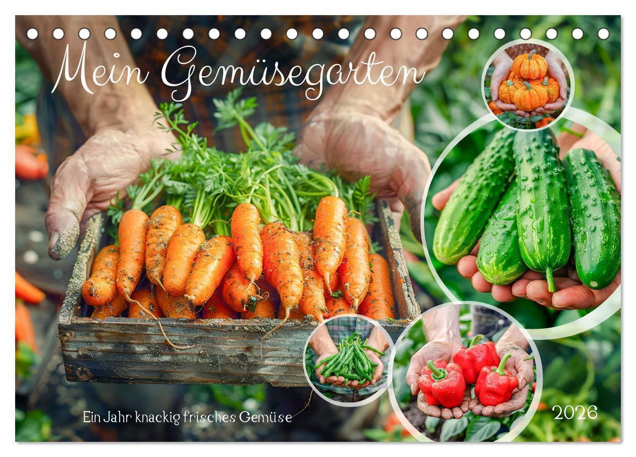Mein Gemüsegarten - Ein Jahr knackig frisches Gemüse (Tischkalender 2026 DIN A5 quer) CALVENDO Monatskalender