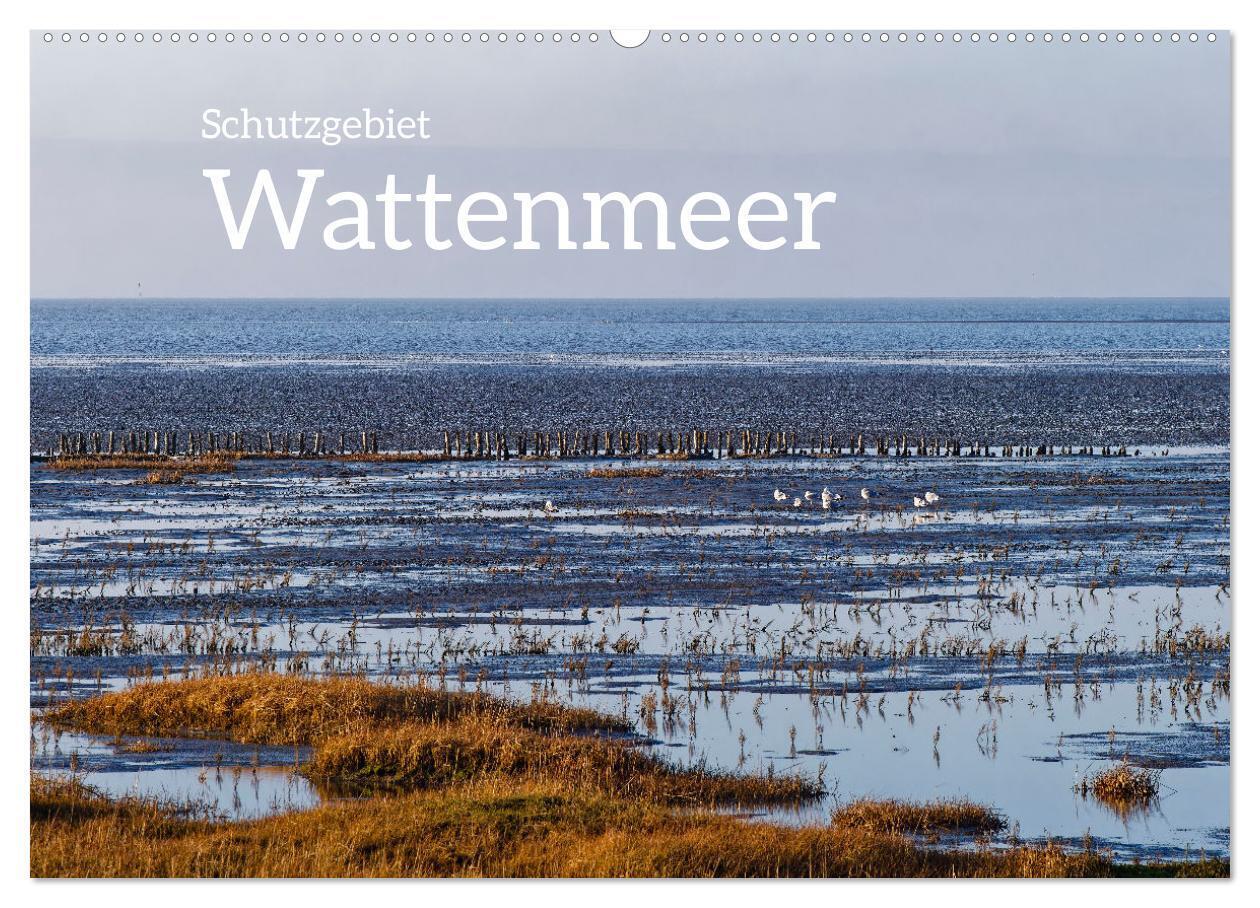 Schutzgebiet Wattenmeer (Wandkalender 2026 DIN A2 quer) CALVENDO Monatskalender
