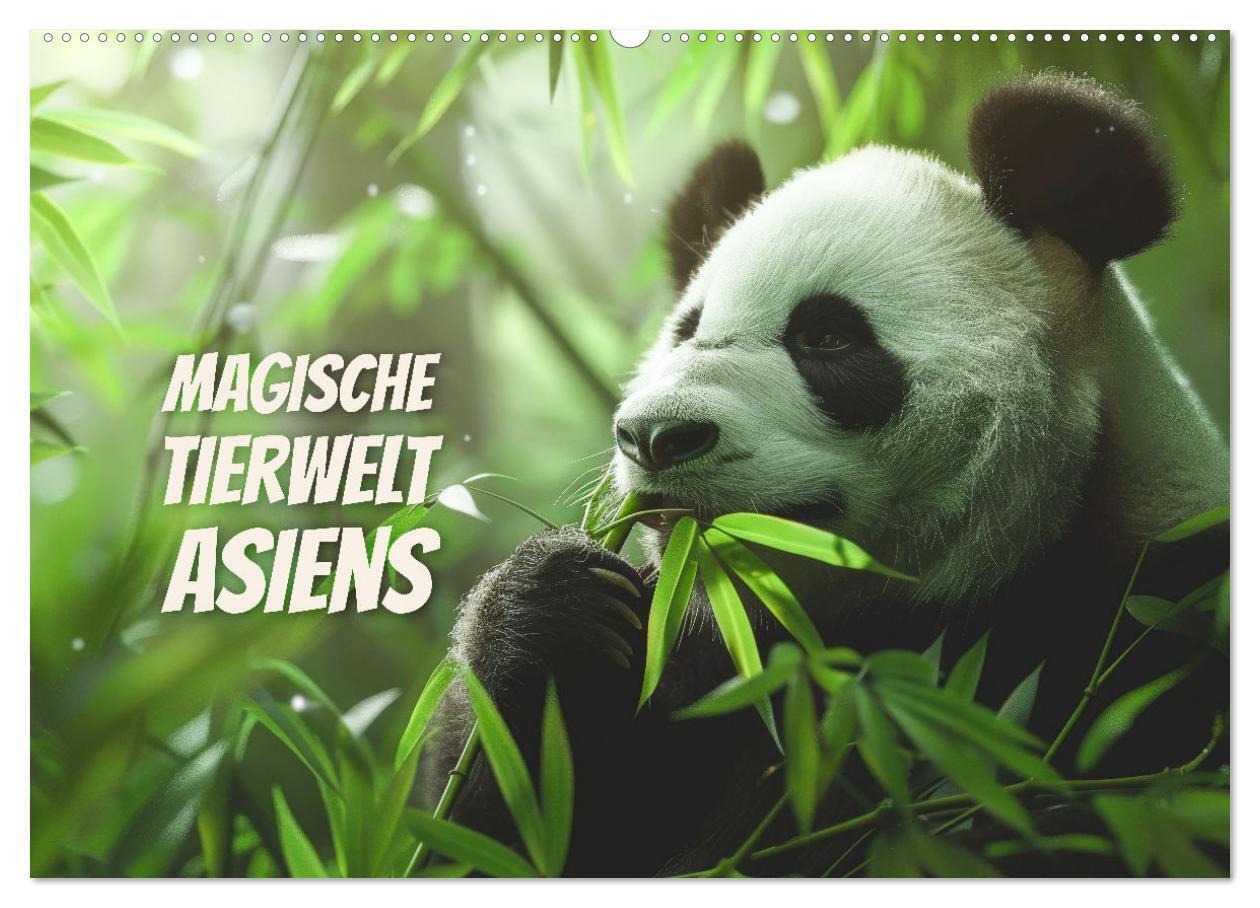 Magische Tierwelt Asiens (Wandkalender 2026 DIN A2 quer) CALVENDO Monatskalender