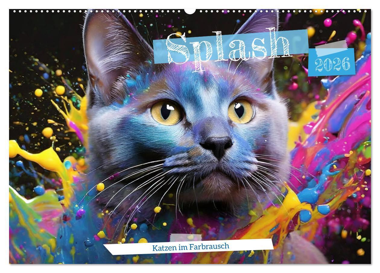 Splash - Katzen im Farbrausch (Wandkalender 2026 DIN A2 quer) CALVENDO Monatskalender