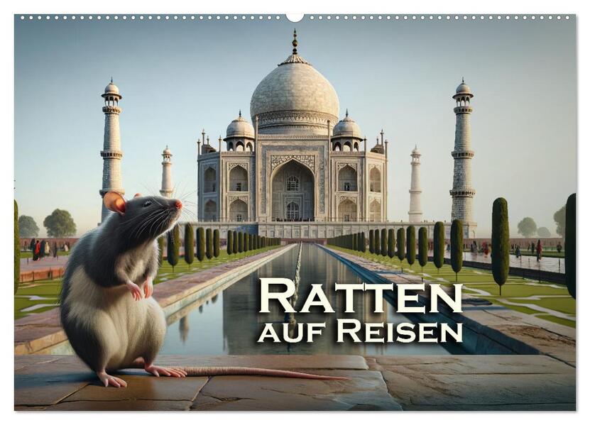 Ratten auf Reisen (Wandkalender 2026 DIN A2 quer) CALVENDO Monatskalender
