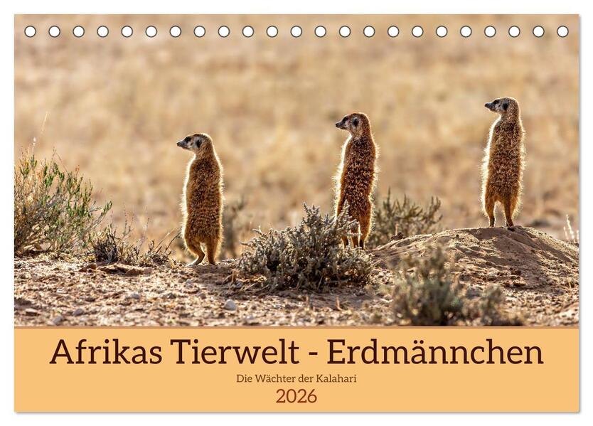 Afrikas Tierwelt - Erdmännchen (Tischkalender 2026 DIN A5 quer) CALVENDO Monatskalender