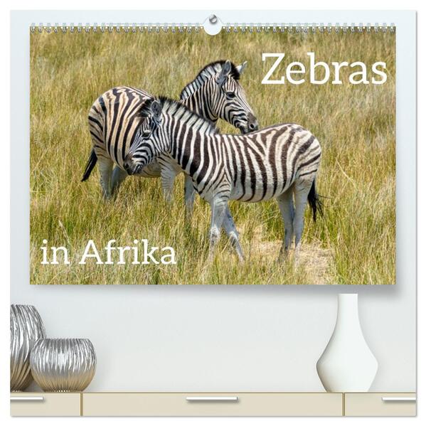 Zebras in Afrika (hochwertiger Premium Wandkalender 2026 DIN A2 quer) Kunstdruck in Hochglanz