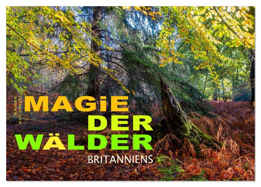 Magie der Wälder Britanniens (Tischkalender 2026 DIN A5 quer) CALVENDO Monatskalender