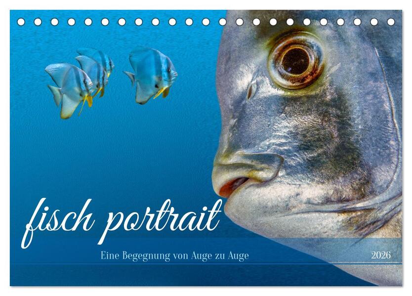 fisch portrait (Tischkalender 2026 DIN A5 quer) CALVENDO Monatskalender