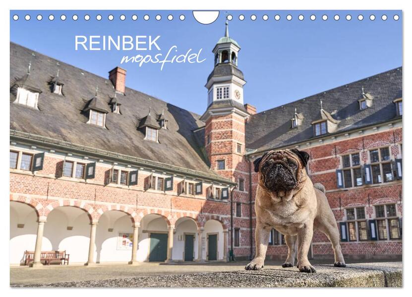 Reinbek mopsfidel (Wandkalender 2026 DIN A4 quer) CALVENDO Monatskalender