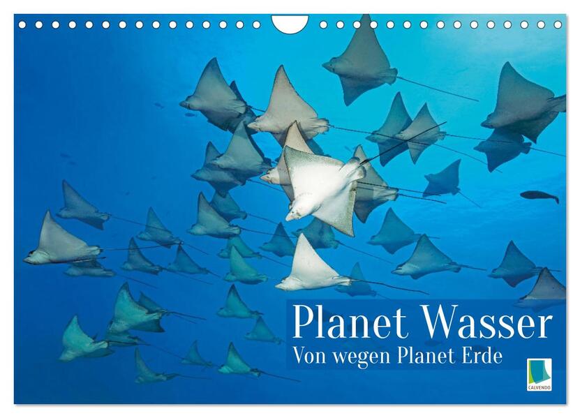Planet Wasser: Von wegen Planet Erde (Wandkalender 2026 DIN A4 quer) CALVENDO Monatskalender