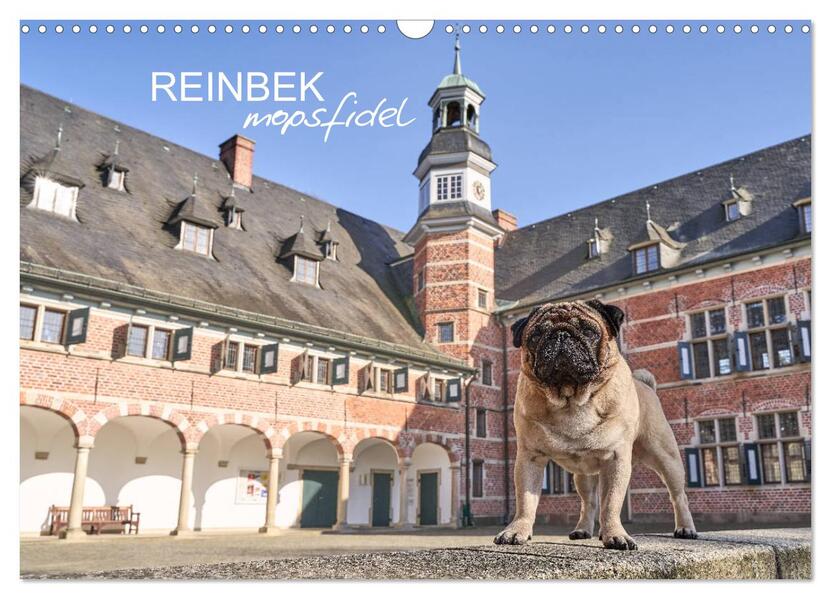 Reinbek mopsfidel (Wandkalender 2026 DIN A3 quer) CALVENDO Monatskalender