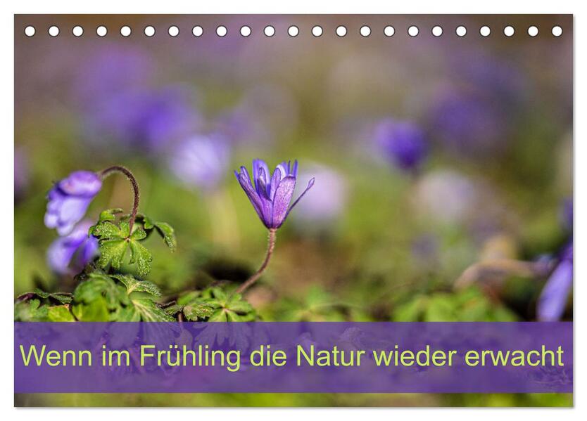 Wenn im Frühling die Natur wieder erwacht (Tischkalender 2026 DIN A5 quer) CALVENDO Monatskalender