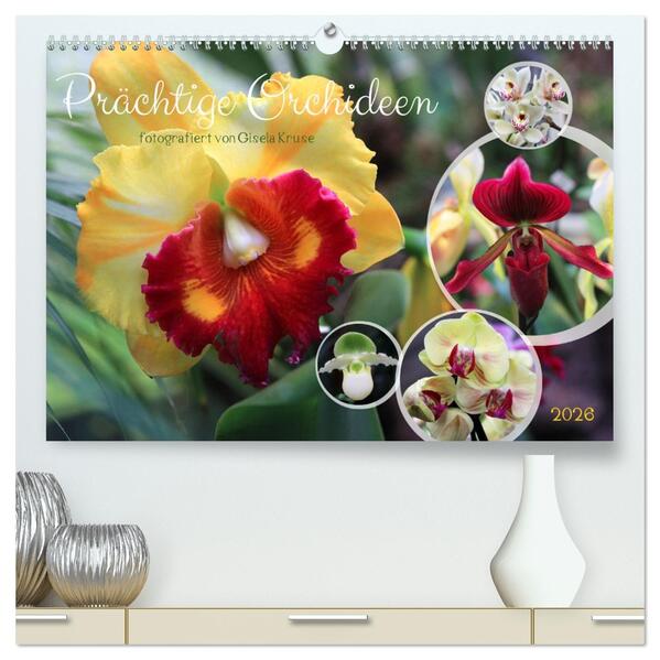 Prächtige Orchideen (hochwertiger Premium Wandkalender 2026 DIN A2 quer) Kunstdruck in Hochglanz