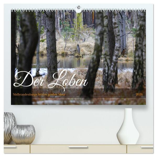 Der Loben. Im Reich der Moorgeister und Kreuzottern- Südbrandenburgs letztes großes Moor (hochwertiger Premium Wandkalender 2026 DIN A2 quer) Kunstdruck in Hochglanz