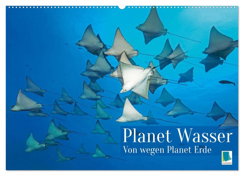 Planet Wasser: Von wegen Planet Erde (Wandkalender 2026 DIN A2 quer) CALVENDO Monatskalender