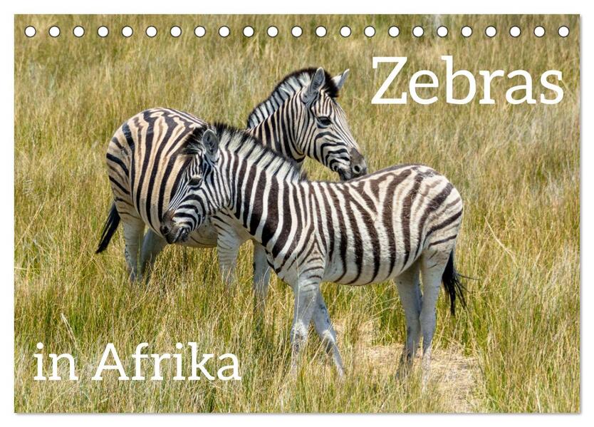 Zebras in Afrika (Tischkalender 2026 DIN A5 quer) CALVENDO Monatskalender