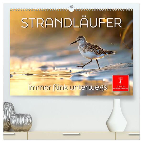 Strandläufer - immer flink unterwegs (hochwertiger Premium Wandkalender 2026 DIN A2 quer) Kunstdruck in Hochglanz