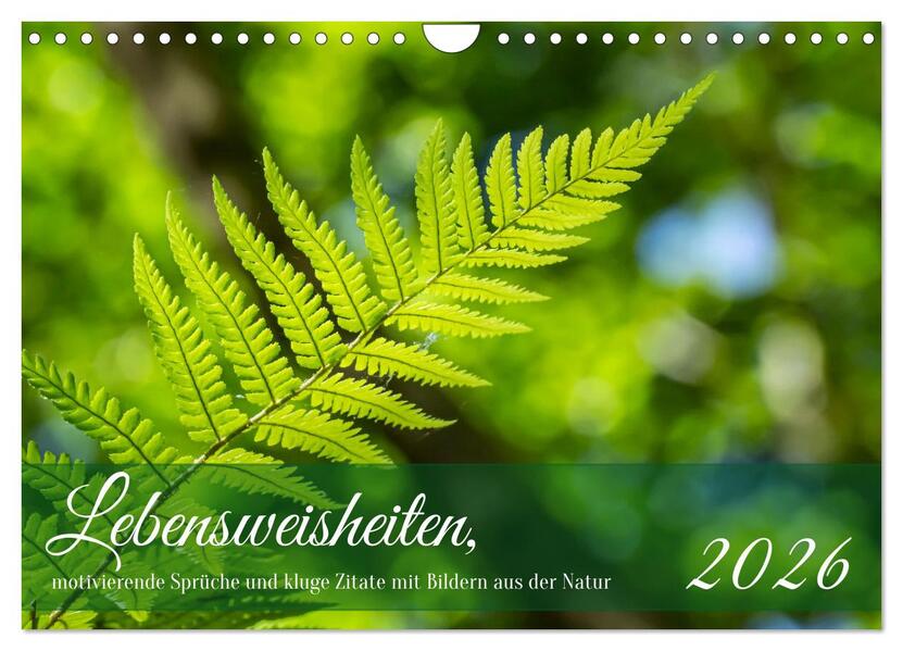 Lebensweisheiten motivierende Sprüche und kluge Zitate mit Bildern der Natur (Wandkalender 2026 DIN A4 quer) CALVENDO Monatskalender