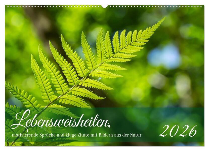 Lebensweisheiten motivierende Sprüche und kluge Zitate mit Bildern der Natur (Wandkalender 2026 DIN A2 quer) CALVENDO Monatskalender