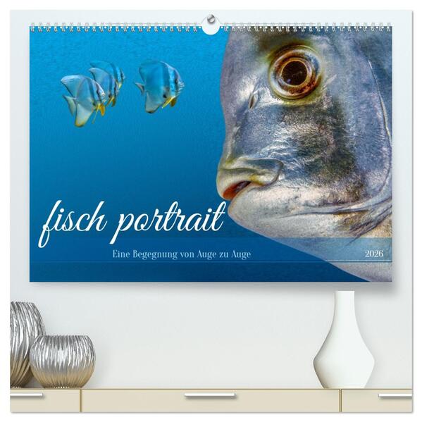 fisch portrait (hochwertiger Premium Wandkalender 2026 DIN A2 quer) Kunstdruck in Hochglanz