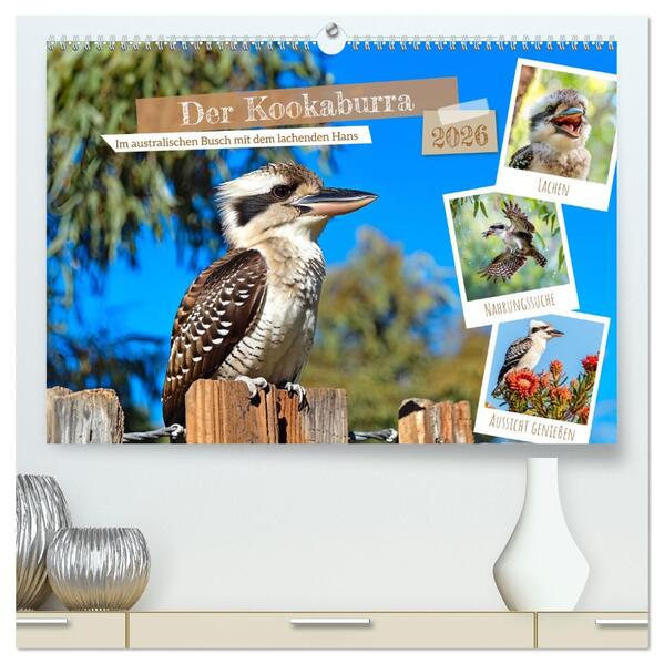 Der Kookaburra - Im australischen Busch mit dem lachenden Hans (hochwertiger Premium Wandkalender 2026 DIN A2 quer) Kunstdruck in Hochglanz