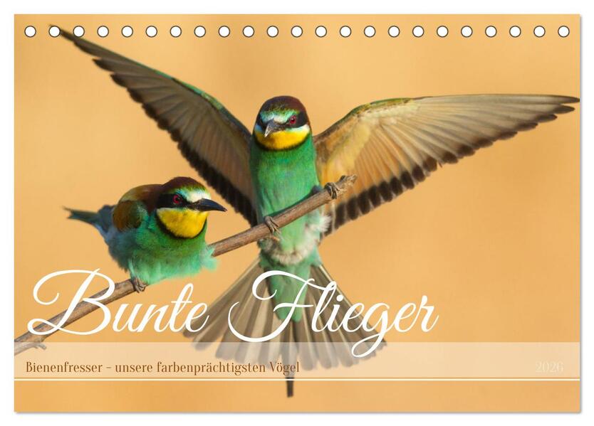 Bunte Flieger (Tischkalender 2026 DIN A5 quer) CALVENDO Monatskalender