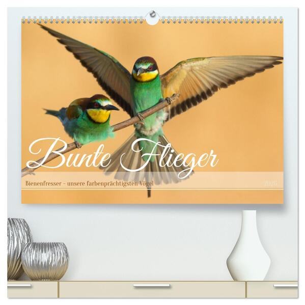 Bunte Flieger (hochwertiger Premium Wandkalender 2026 DIN A2 quer) Kunstdruck in Hochglanz