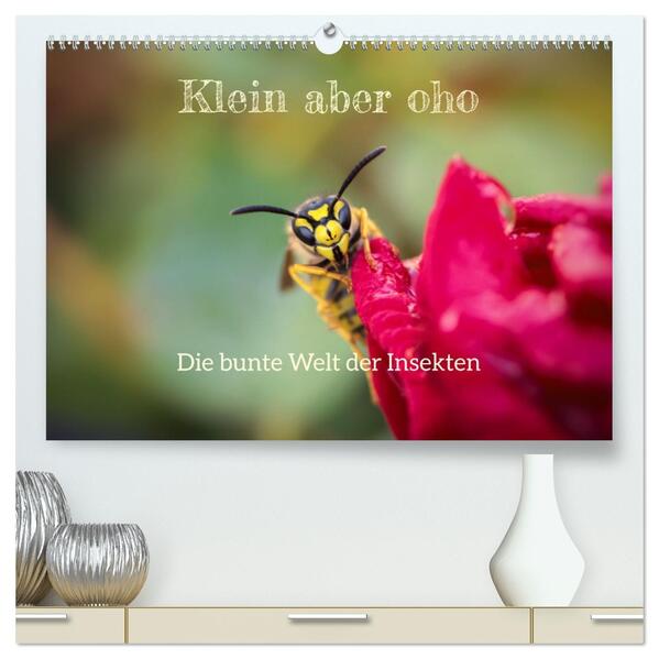 Klein aber oho. Die bunte Welt der Insekten (hochwertiger Premium Wandkalender 2026 DIN A2 quer) Kunstdruck in Hochglanz