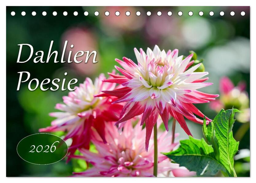 Dahlien Poesie (Tischkalender 2026 DIN A5 quer) CALVENDO Monatskalender