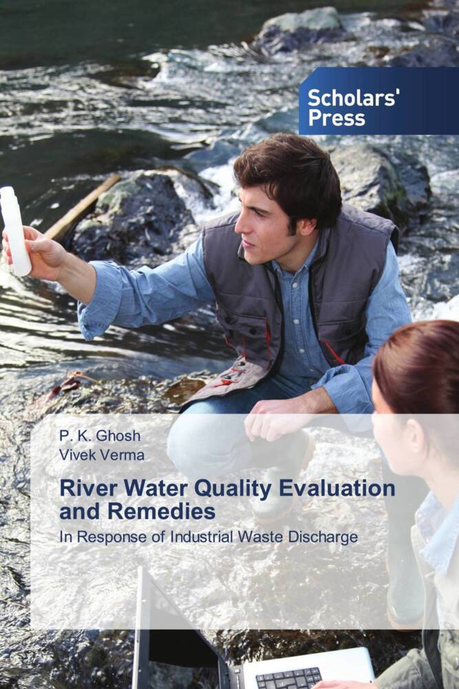River Water Quality Evaluation and Remedies