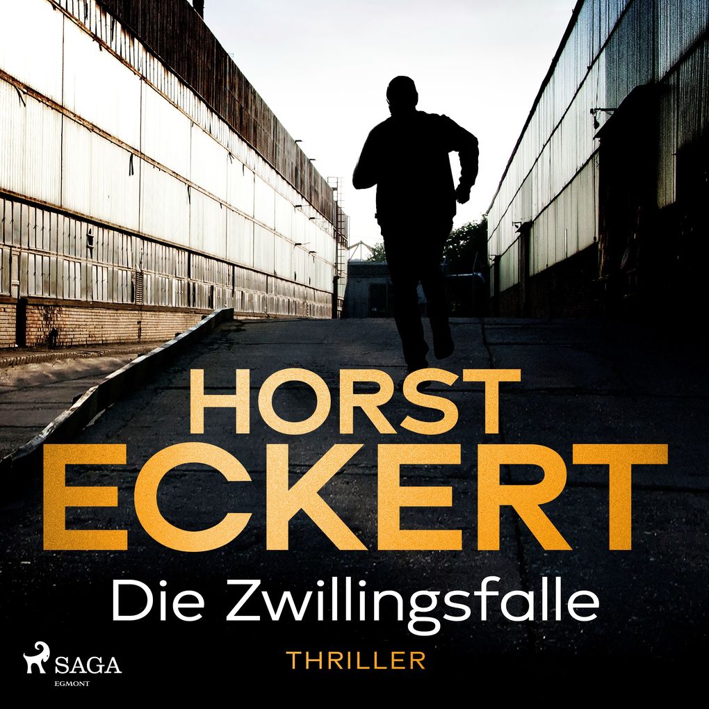 Die Zwillingsfalle