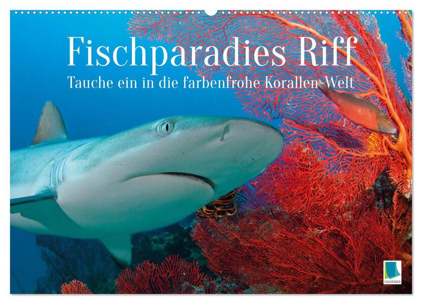 Fischparadies Riff (Wandkalender 2026 DIN A2 quer) CALVENDO Monatskalender