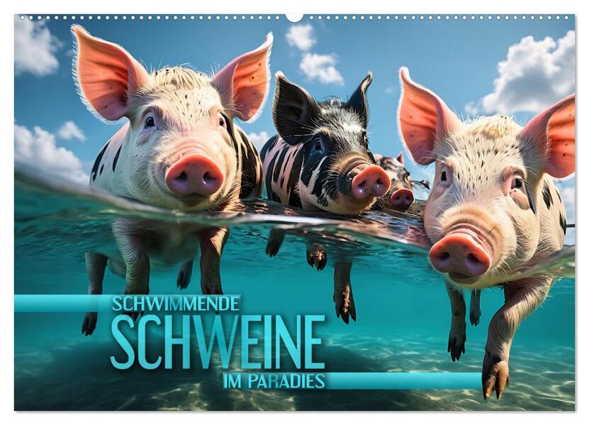 Schwimmende Schweine im Paradies (Wandkalender 2026 DIN A2 quer) CALVENDO Monatskalender