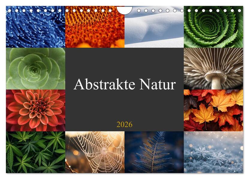 Abstrakte Natur (Wandkalender 2026 DIN A4 quer) CALVENDO Monatskalender
