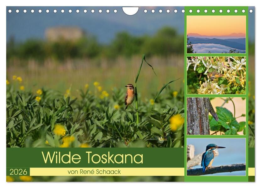 Wilde Toskana - von René Schaack (Wandkalender 2026 DIN A4 quer) CALVENDO Monatskalender