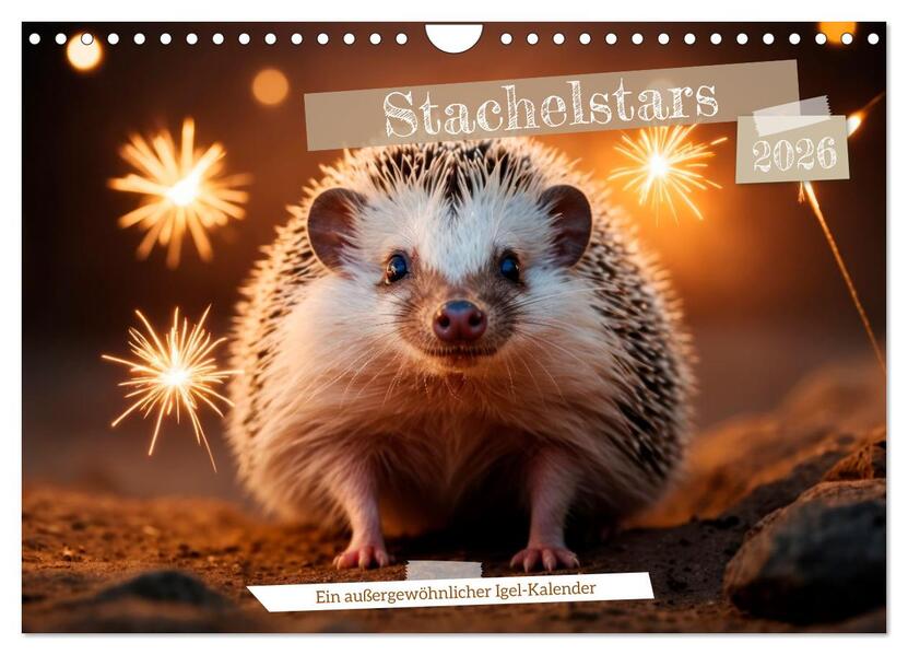 Stachelstars (Wandkalender 2026 DIN A4 quer) CALVENDO Monatskalender