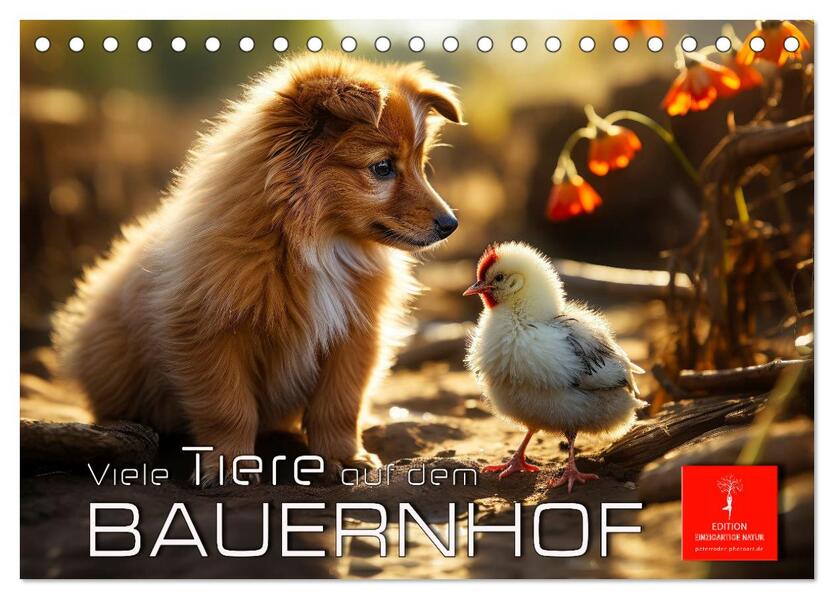 Viele Tiere auf dem Bauernhof (Tischkalender 2026 DIN A5 quer) CALVENDO Monatskalender