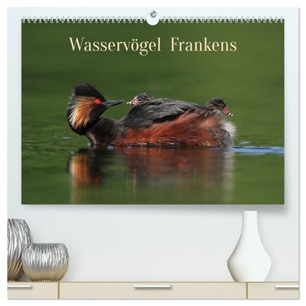 Wasservögel Frankens (hochwertiger Premium Wandkalender 2026 DIN A2 quer) Kunstdruck in Hochglanz